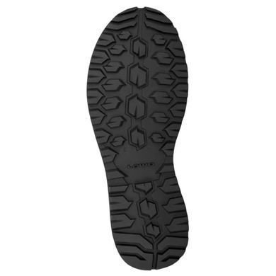 Черевики трекінгові чоловічі LOWA Malta GTX MID Steel Blue 41.5