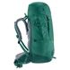 Рюкзак туристический Deuter Fox 40 л 2231 Alpinegreen-Forest