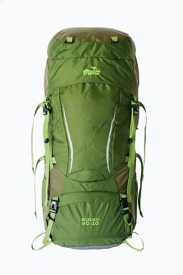 Туристичний рюкзак Tramp Sigurd 60+10 зелений