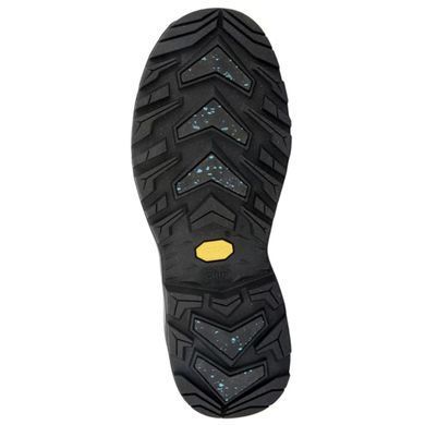 Черевики трекінгові чоловічі LOWA Renegade Evo Ice GTX Black 42