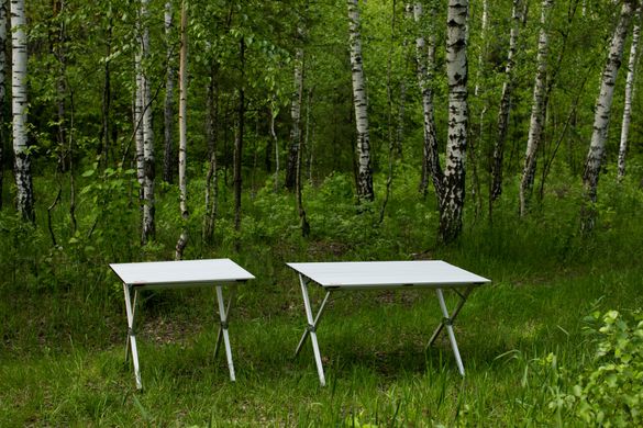 Складной стол с алюминиевой столешницей Tramp Roll-80 (80x60x70 см) TRF-063