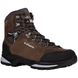 Ботинки треккинговые мужские LOWA Camino Evo GTX Brown/Graphite 41