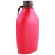 Фляга Wildo Explorer Bottle Green 1 л Raspberry