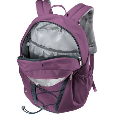 Рюкзак міський Deuter Gogo 25 л 5334 Plum-Ink