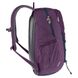 Рюкзак городской Deuter Gogo 25 л 5334 Plum-Ink