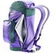 Рюкзак міський Deuter Lake Placid 27 л 3809 Violet-Citrus