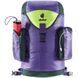 Рюкзак міський Deuter Lake Placid 27 л 3809 Violet-Citrus