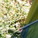 Палатка Tramp Brest 4 (V3) UTRT-110-olive